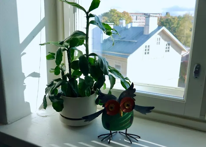 Charming City Studio